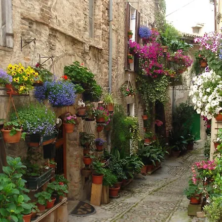 Bed and Breakfast Il Sognatore 3*
