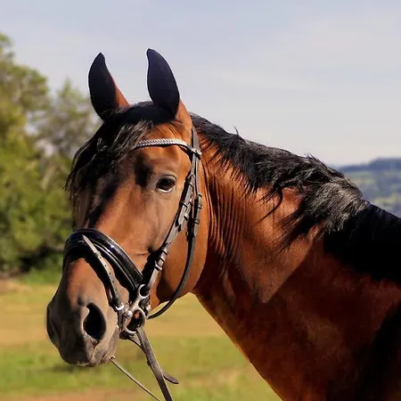 Il Sognatore Bed & Breakfast Perugia