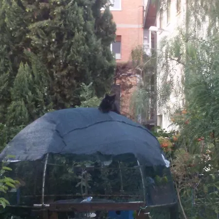 Bed and Breakfast Il Sognatore Περούτζια