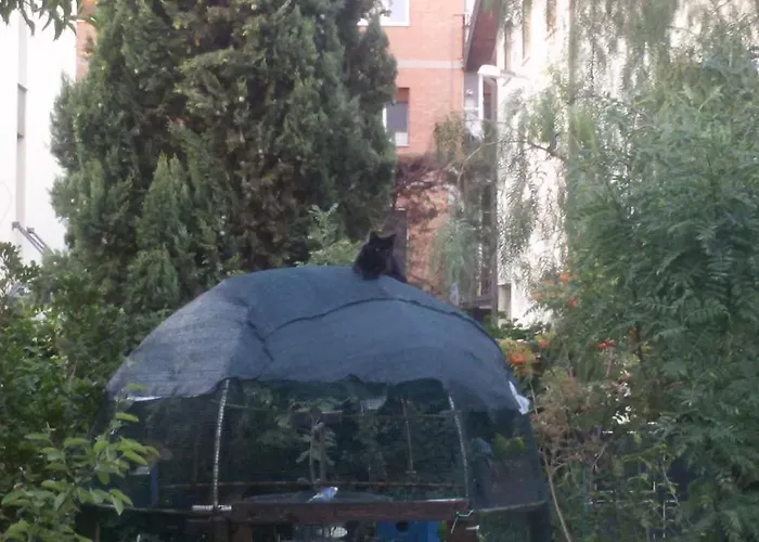 Bed and Breakfast Il Sognatore Περούτζια